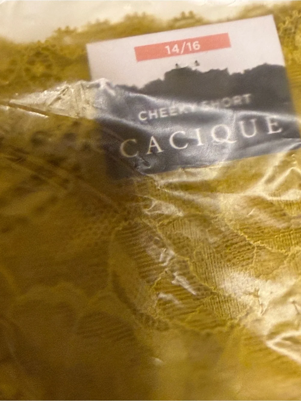 Cacique Lace Cheeky Short Panty in Gold